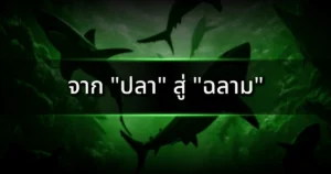 จาก "ปลา" สู่ "ฉลาม": 3 ขั้นตอนง่ายๆ ที่ทำให้เพื่อนตกใจในฝีมือ